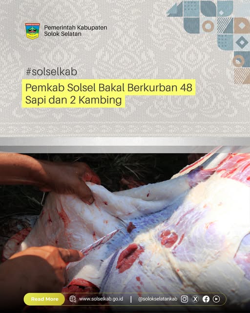 Pemkab Solsel Bakal Berkurban 48 Sapi dan 2 Kambing
